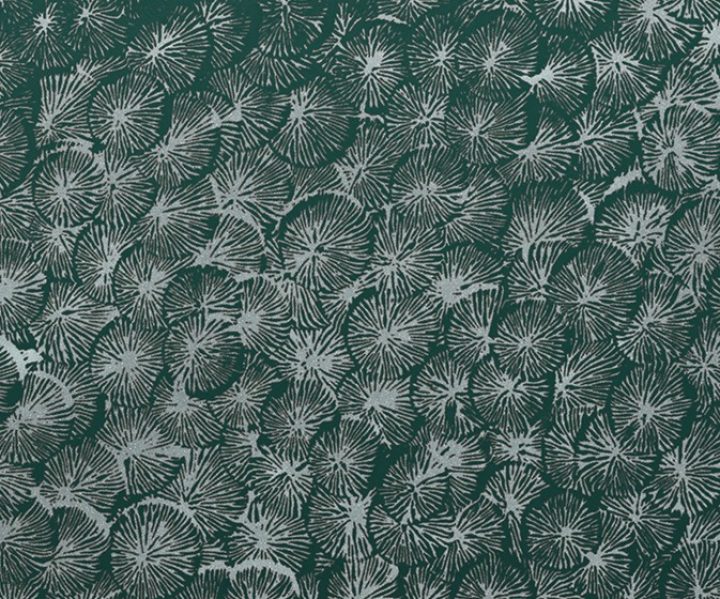 exterior-texture-asian-paints-TNB1014CMB1002