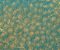 exterior-texture-asian-paints-TNB1014CMB1003