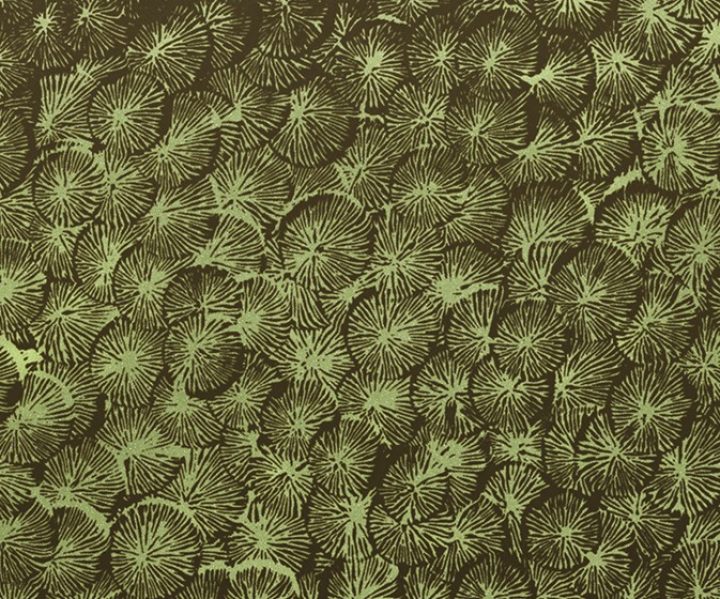 exterior-texture-asian-paints-TNB1014CMB1004