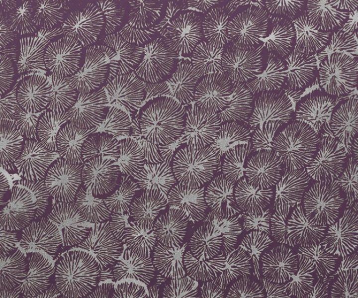 exterior-texture-asian-paints-TNB1014CMB1005