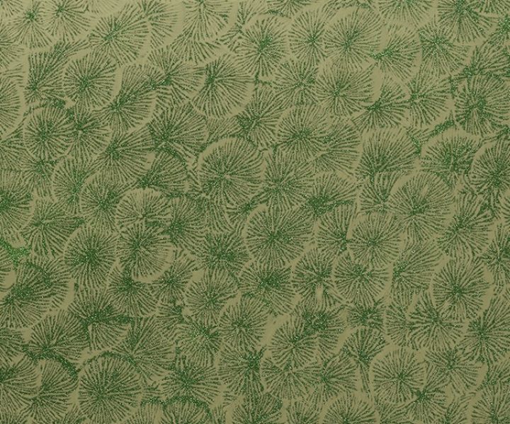exterior-texture-asian-paints-TNB1014CMB1006