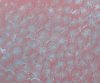 exterior-texture-asian-paints-TNB1014CMB1007