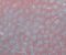 exterior-texture-asian-paints-TNB1014CMB1007