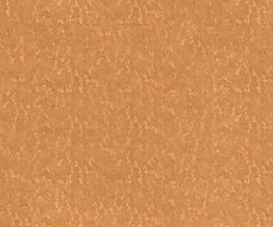 interior-texture-asian-paints-TXT1001CMB1001