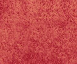 interior-texture-asian-paints-TXT1012CMB1046