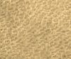 interior-texture-asian-paints-TXT1013CMB1050