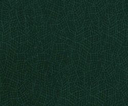 Crisscross Interior Wall Texture - Asian Paints