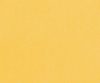 interior-texture-asian-paints-TXT1018CMB1070