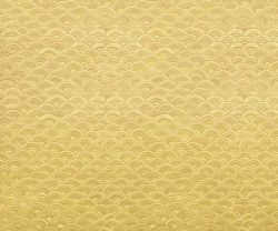 interior-texture-asian-paints-TXT1024CMB1081