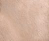 interior-texture-asian-paints-TXT1025CMB1088