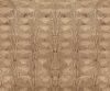 interior-texture-asian-paints-TXT1033CMB1119