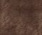 interior-texture-asian-paints-TXT1036CMB1126 interior-texture-asian-paints-TXT1036CMB1126