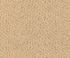 interior-texture-asian-paints-TXT1043CMB1149