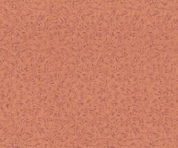 interior-texture-asian-paints-TXT1045CMB1156