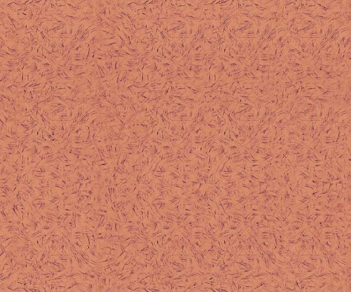 Asian Paints Textures Catalogue