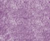 interior-texture-asian-paints-TXT1049CMB1183