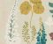 Fair Fall House Wallpaper Design - Asian Paints Fair Fall House Wallpaper Design - Asian Paints