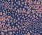 wallpaper-room-shots-asian-paints-384544 wallpaper-room-shots-asian-paints-384544