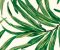 Bali Leaves House Wallpaper Design - Asian Paints Bali Leaves House Wallpaper Design - Asian Paints