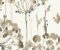 Wonderland House Wallpaper Design - Asian Paints Wonderland House Wallpaper Design - Asian Paints