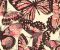 wallpaper-room-shots-asian-paints-rk4442 wallpaper-room-shots-asian-paints-rk4442