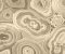 wallpaper-room-shots-asian-paints-rk4509 wallpaper-room-shots-asian-paints-rk4509