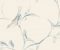 wallpaper-room-shots-asian-paints-ve7071 wallpaper-room-shots-asian-paints-ve7071