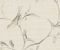 wallpaper-room-shots-asian-paints-ve7072 wallpaper-room-shots-asian-paints-ve7072
