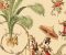 Mandarin Prose House Wallpaper Design - Asian Paints Mandarin Prose House Wallpaper Design - Asian Paints