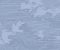 wallpaper-close-shot-asian-paints-366062 wallpaper-close-shot-asian-paints-366062