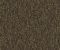 wallpaper-close-shot-asian-paints-375152 wallpaper-close-shot-asian-paints-375152