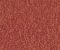 wallpaper-close-shot-asian-paints-375155 wallpaper-close-shot-asian-paints-375155