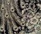 wallpaper-close-shot-asian-paints-378000 wallpaper-close-shot-asian-paints-378000