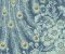 wallpaper-close-shot-asian-paints-378004 wallpaper-close-shot-asian-paints-378004