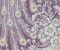 wallpaper-close-shot-asian-paints-378005 wallpaper-close-shot-asian-paints-378005
