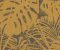 wallpaper-close-shot-asian-paints-378010 wallpaper-close-shot-asian-paints-378010
