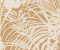 wallpaper-close-shot-asian-paints-378012 wallpaper-close-shot-asian-paints-378012