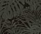 wallpaper-close-shot-asian-paints-378016 wallpaper-close-shot-asian-paints-378016
