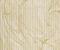 wallpaper-close-shot-asian-paints-378040 wallpaper-close-shot-asian-paints-378040