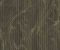 wallpaper-close-shot-asian-paints-378048 wallpaper-close-shot-asian-paints-378048