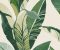 wallpaper-close-shot-asian-paints-384500 wallpaper-close-shot-asian-paints-384500