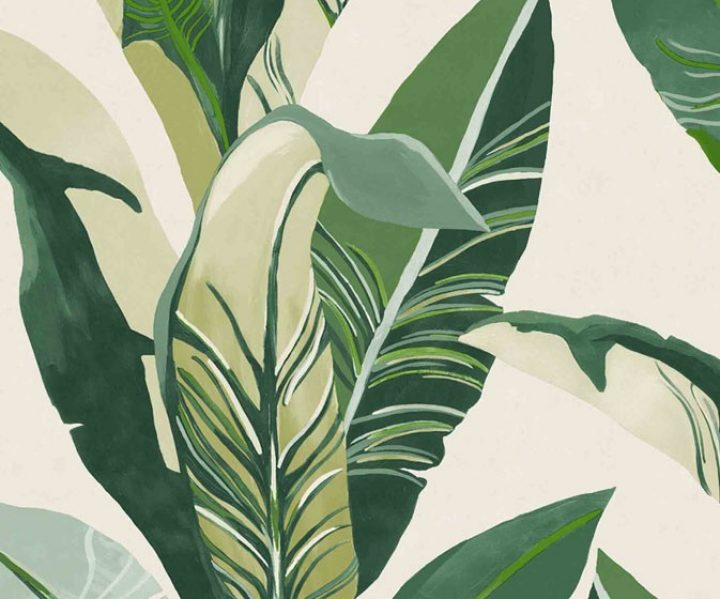 Aggregate 81+ tropical wallpaper latest - vova.edu.vn