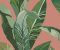 wallpaper-close-shot-asian-paints-384503 wallpaper-close-shot-asian-paints-384503