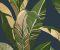 wallpaper-close-shot-asian-paints-384504 wallpaper-close-shot-asian-paints-384504