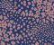 wallpaper-close-shot-asian-paints-384544 wallpaper-close-shot-asian-paints-384544
