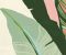 wallpaper-close-shot-asian-paints-384601 wallpaper-close-shot-asian-paints-384601