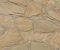 wallpaper-close-shot-asian-paints-81909 wallpaper-close-shot-asian-paints-81909