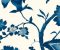wallpaper-close-shot-asian-paints-AT7021 wallpaper-close-shot-asian-paints-AT7021