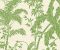 wallpaper-close-shot-asian-paints-AT7107 wallpaper-close-shot-asian-paints-AT7107