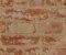 wallpaper-close-shot-asian-paints-BZ9206 wallpaper-close-shot-asian-paints-BZ9206